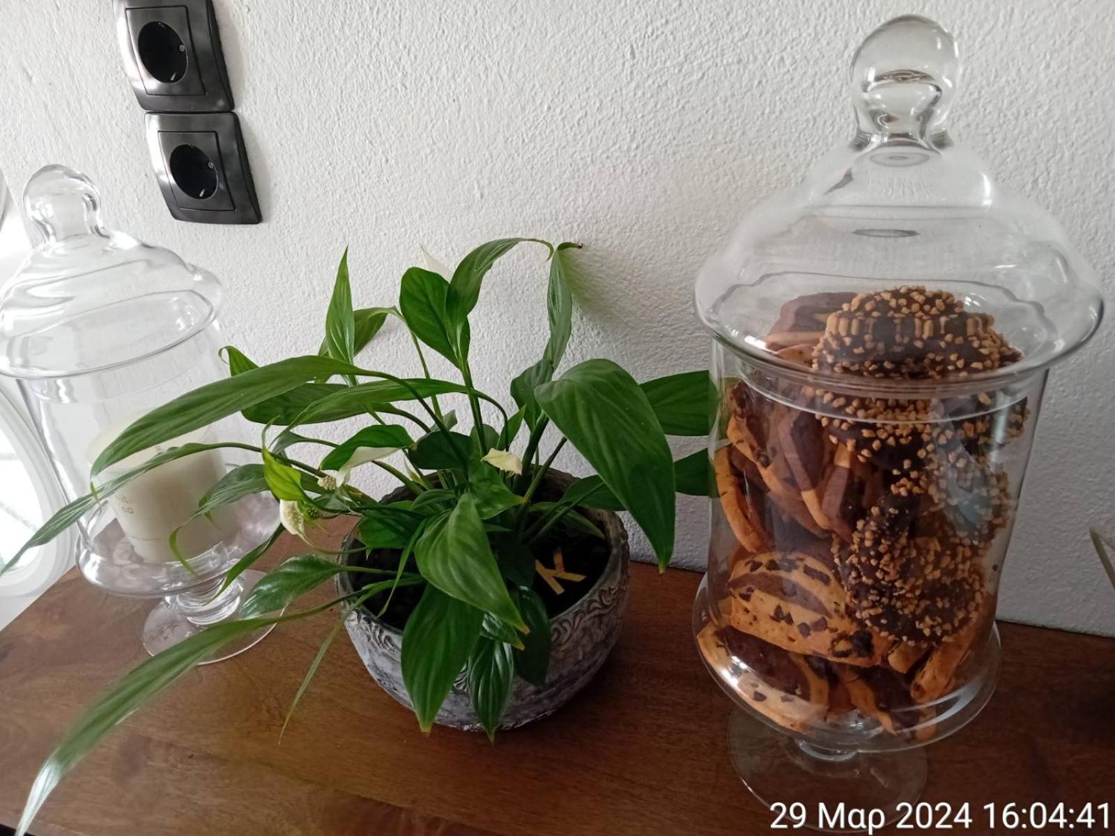 Happy Days Apartment Agia Galini Екстериор снимка